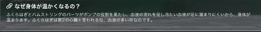 なぜ身体が温かくなるの？
ふくらはぎとハムストリングのパーツがポンプの役割を果たし、血液の流れを促し冷たい血液が足に溜まりにくいから、身体が温まります。ふくらはぎは第2の心臓と言われる位、血液の多い所なのです。 