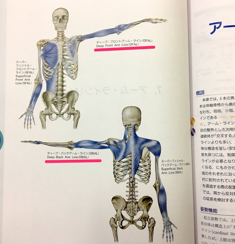 パドリングで入水するストロークの使い分け方 Rev Wetsuits パドリングで入水するストロークの使い分け方 Rev Wetsuits
